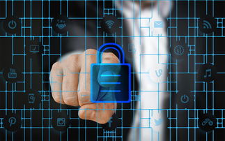 德赢体育app下载安装官方正版-校园体育安全管理策略研究，校园体育安全管理策略研究报告