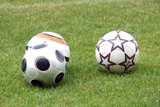 vwin德赢网页版-基层足球发展资金紧张，基层足球发展资金紧张的原因